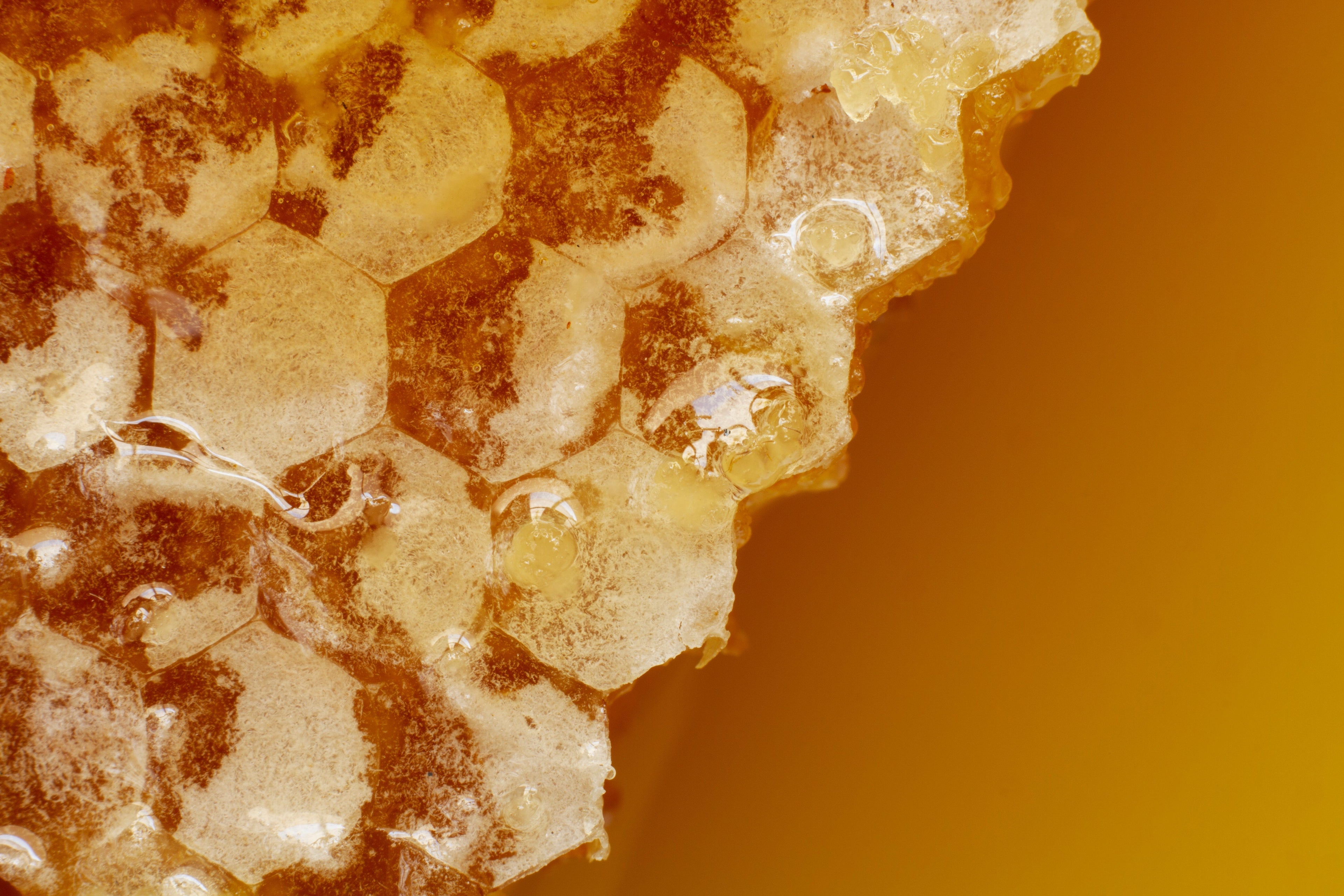 How can raw, unprocessed honey rebuild our microbiome?