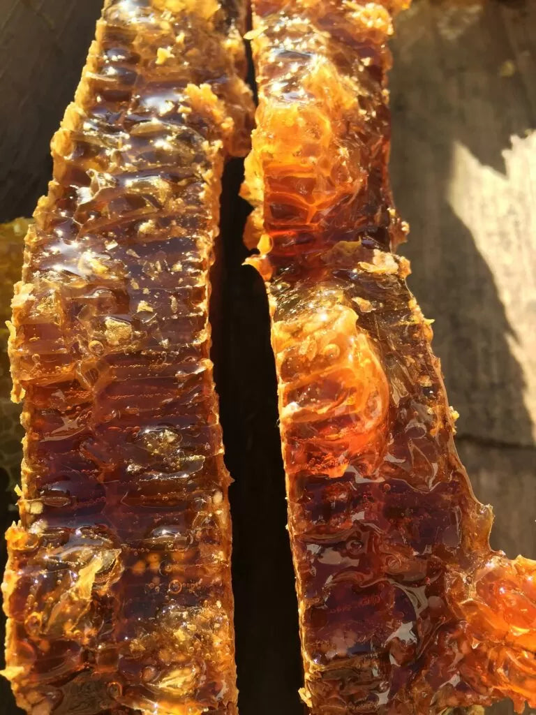 HONEY and the fear of SUGAR