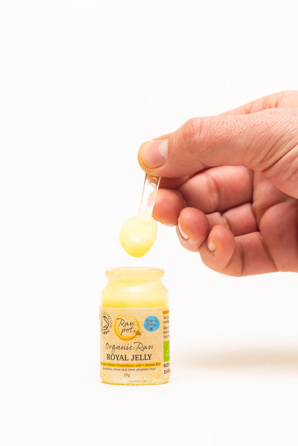 Organic Raw Royal Jelly image 2
